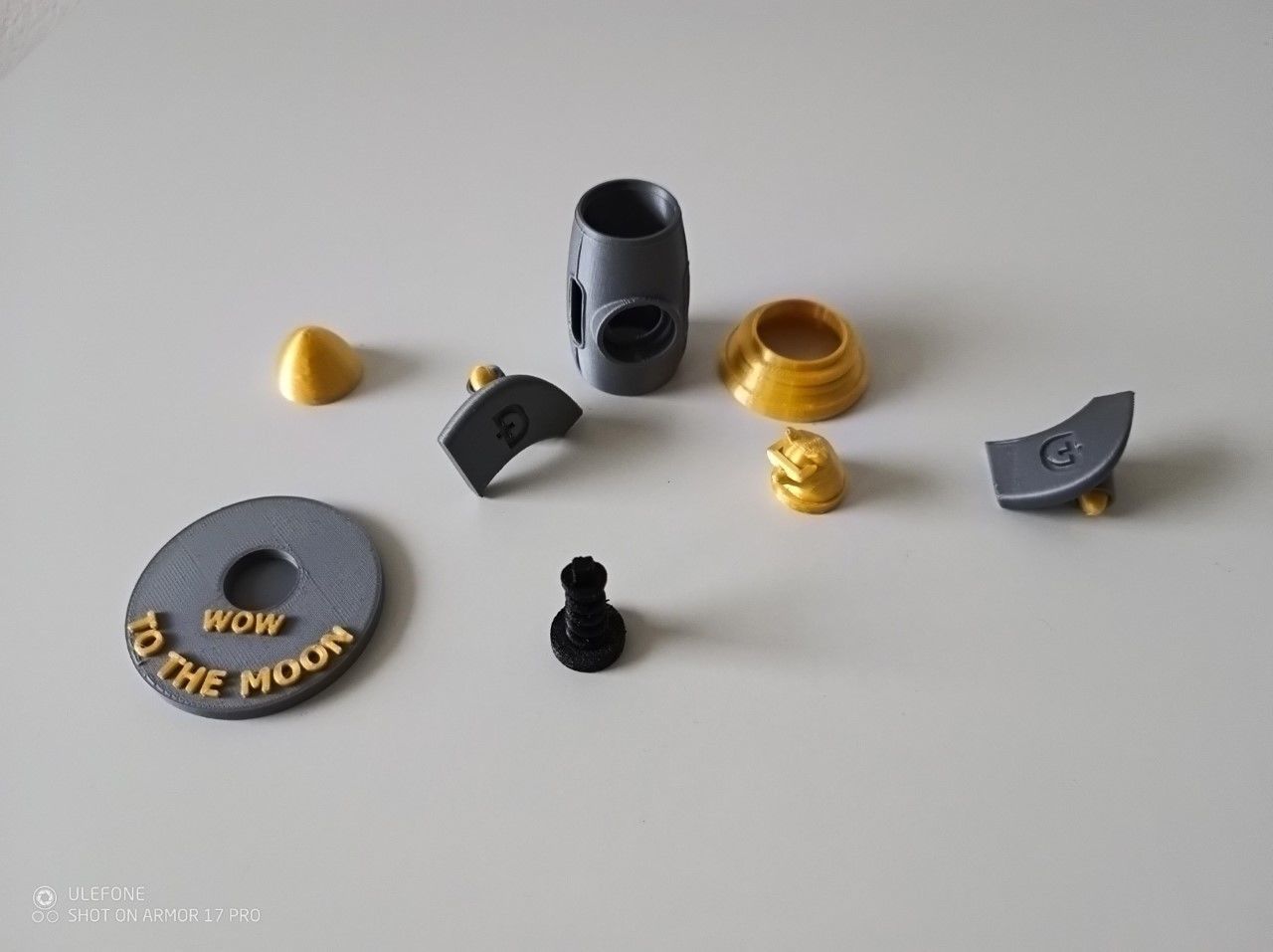 Doge on spring for a Tesla 3D print model_1