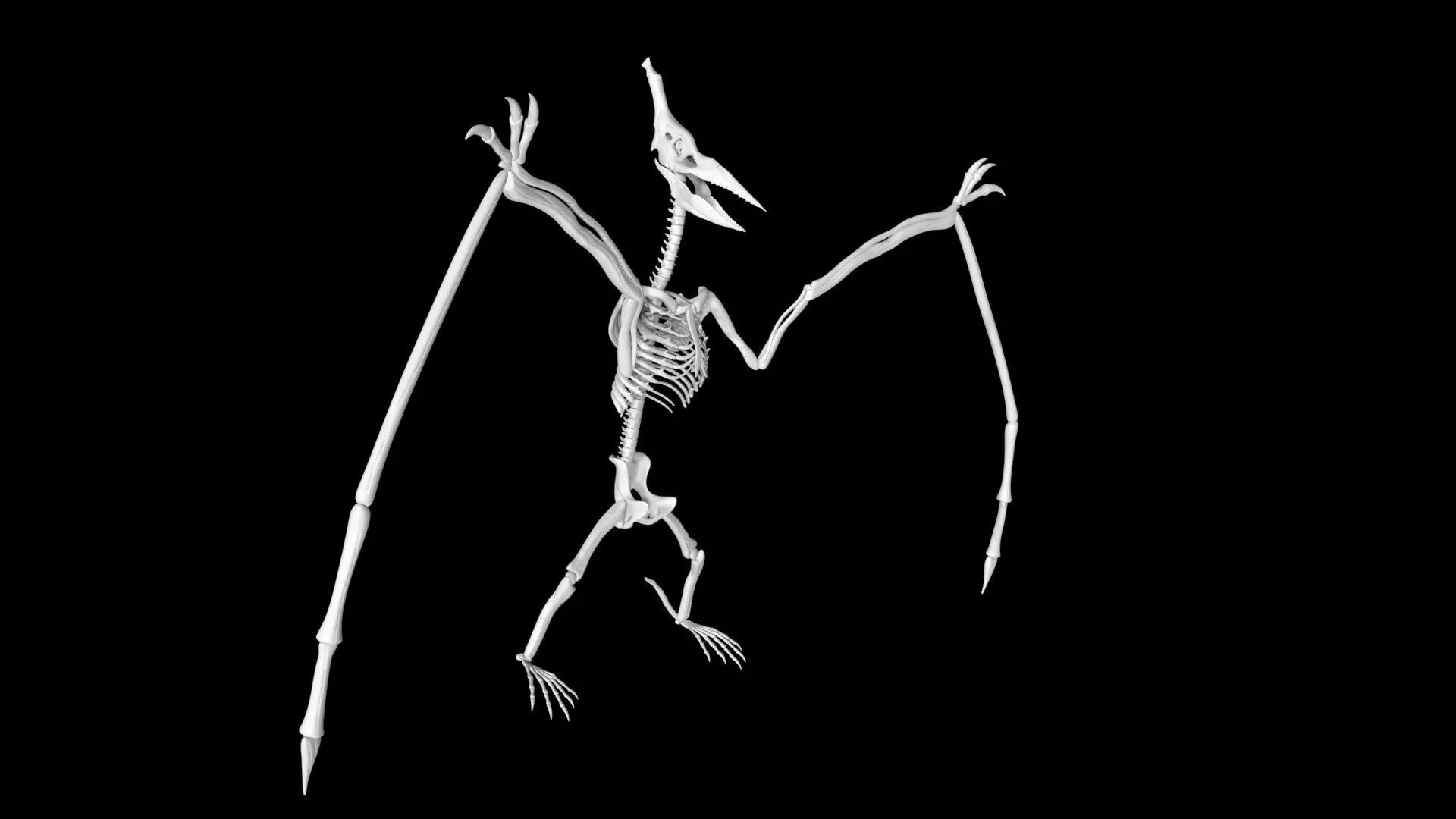 Pterasaur skeleton Low-poly 3D model_0