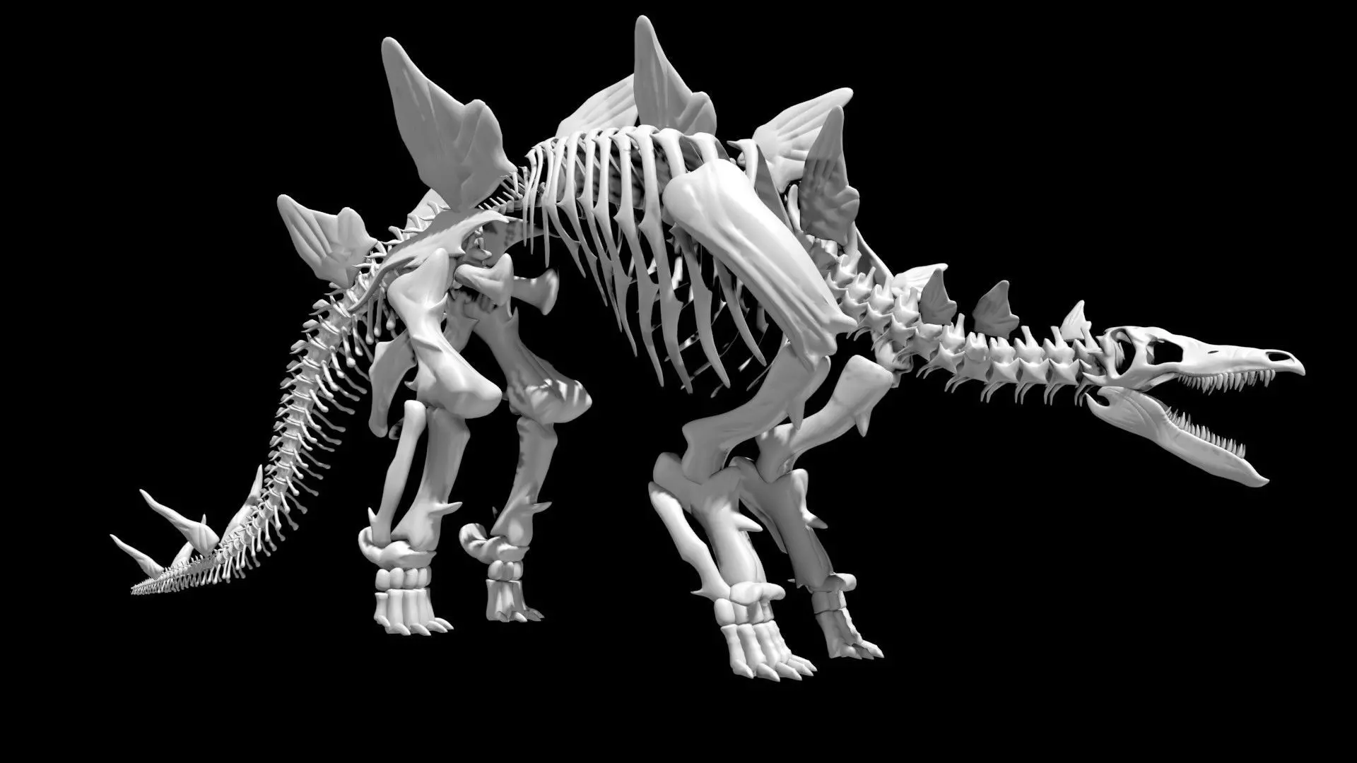 Stegosaurus skeleton Low-poly 3D model_0
