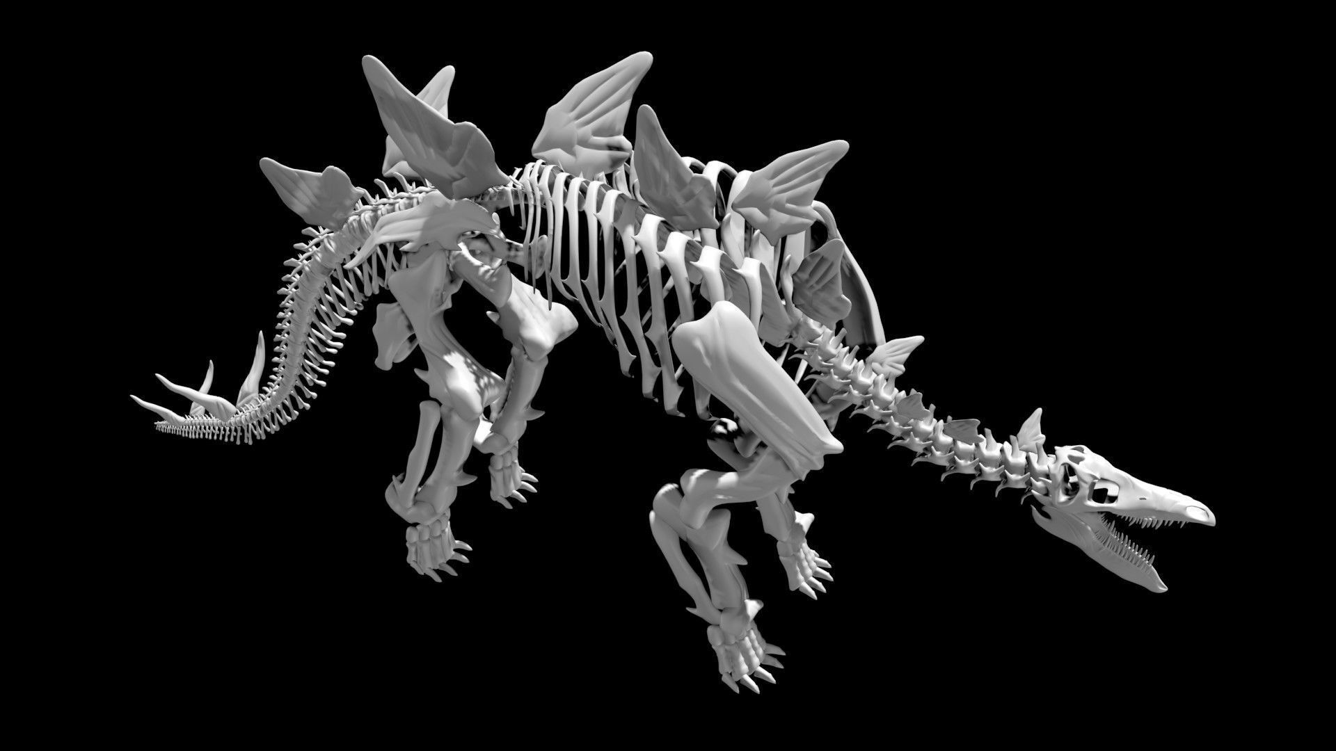 Stegosaurus skeleton Low-poly 3D model_5