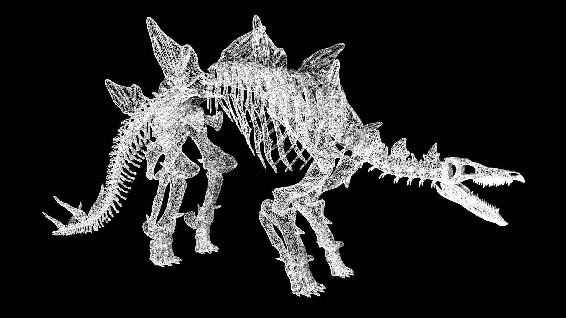 Stegosaurus skeleton Low-poly 3D model_6