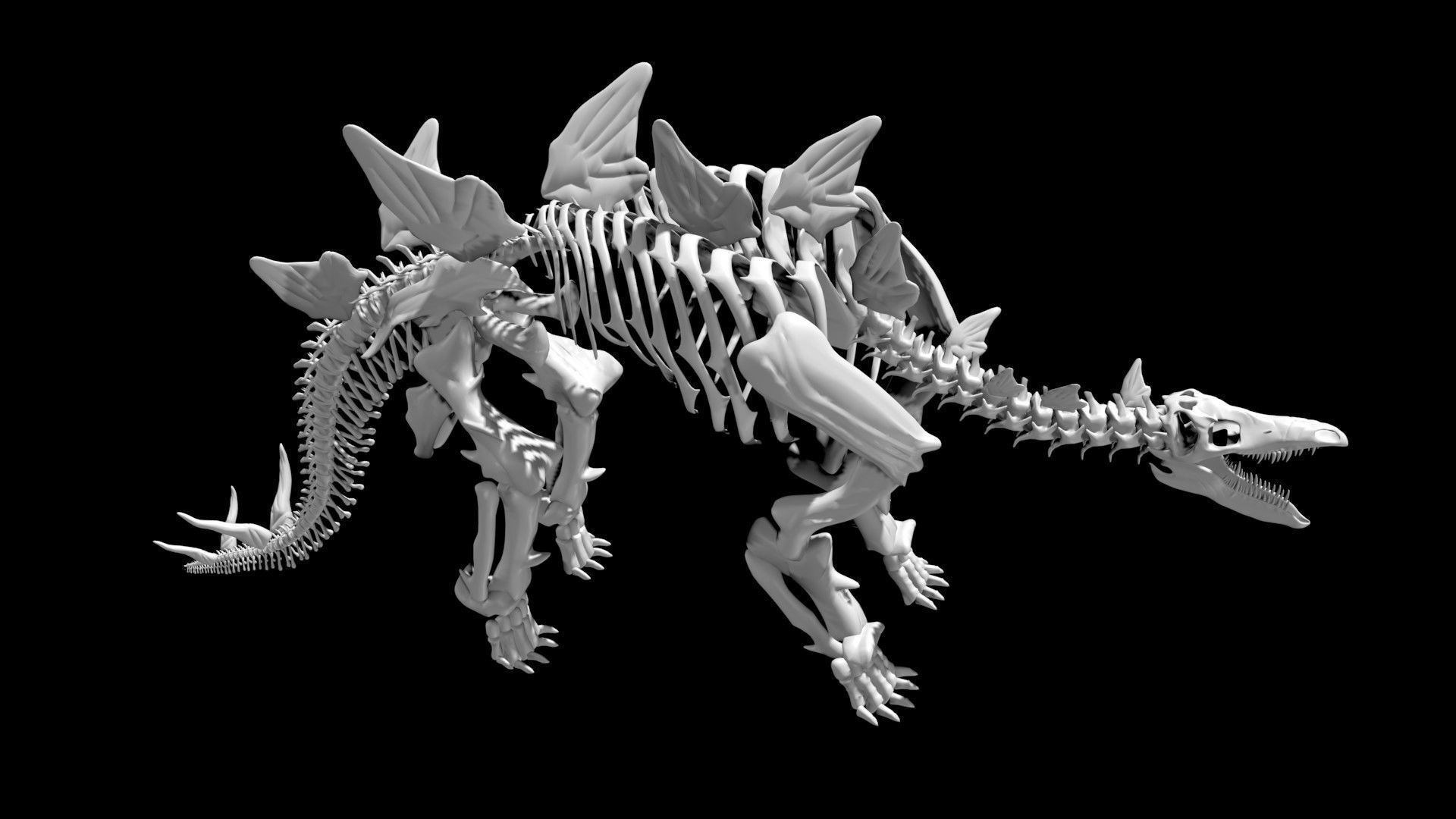 Stegosaurus skeleton Low-poly 3D model_3