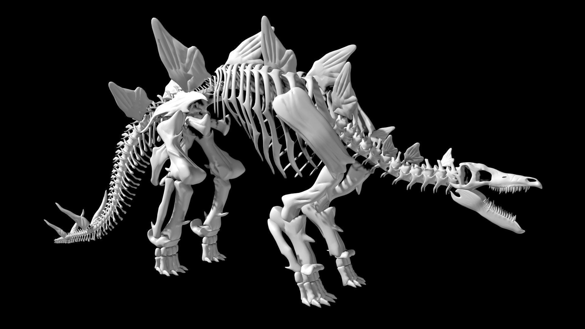 Stegosaurus skeleton Low-poly 3D model_4