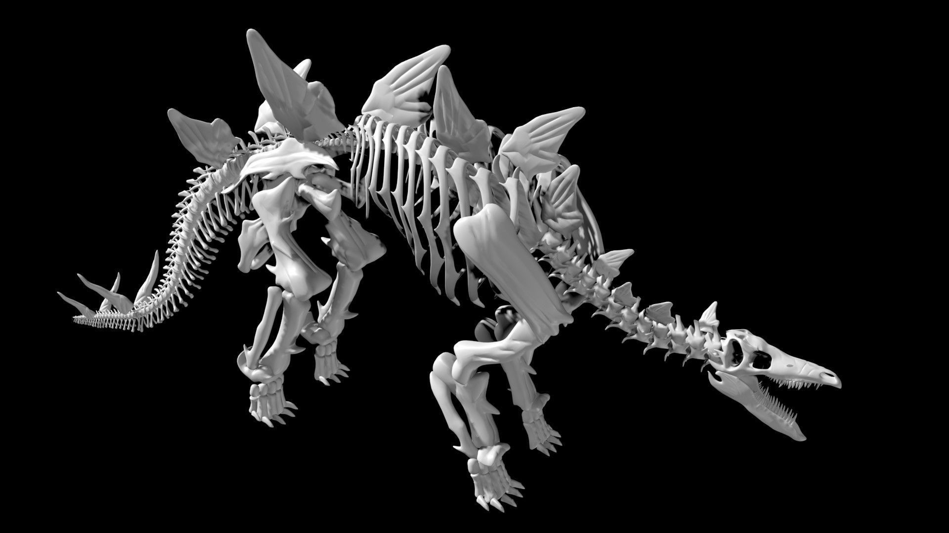 Stegosaurus skeleton Low-poly 3D model_1