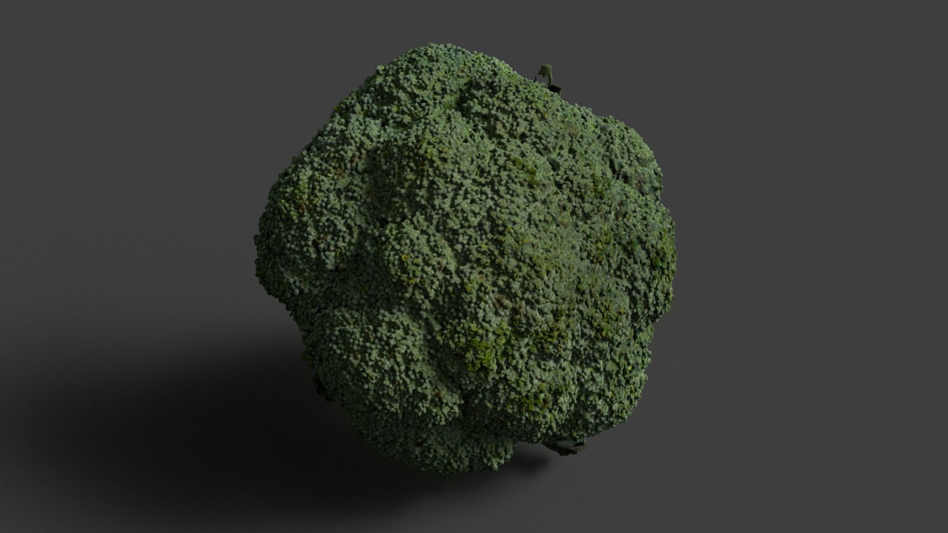 broccoli 3D model_2