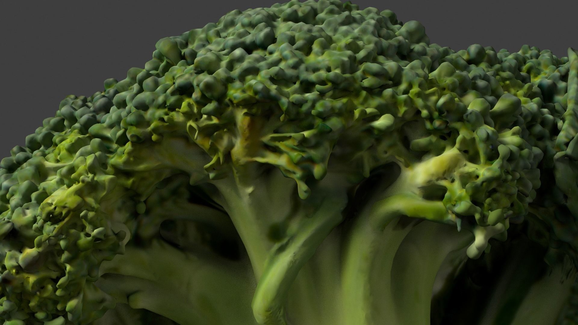 broccoli 3D model_4