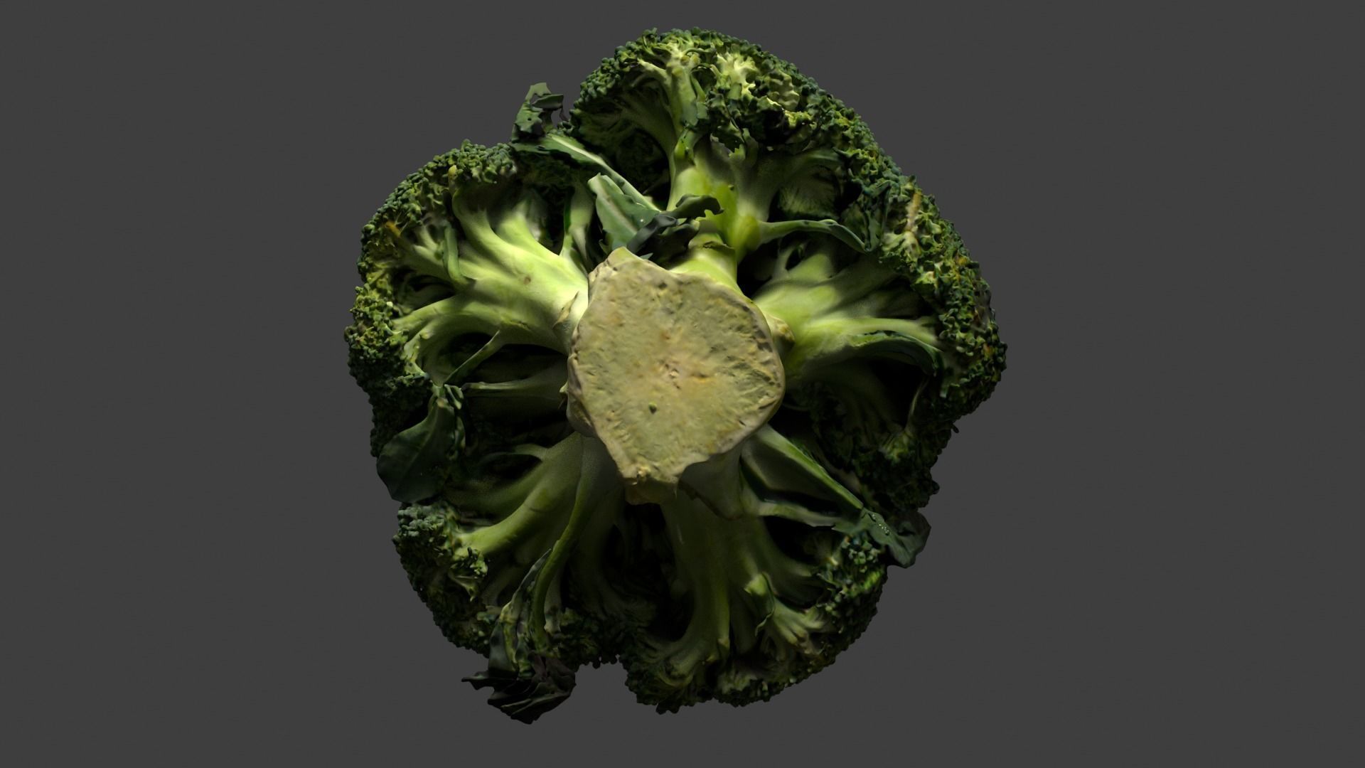 broccoli 3D model_1