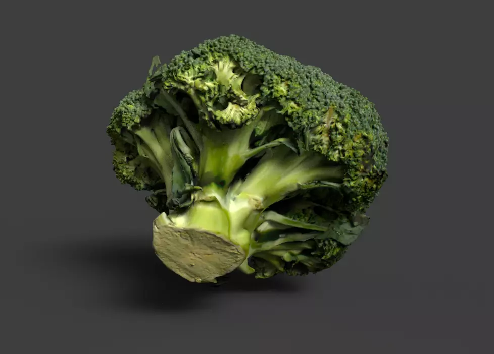broccoli 3D model_0