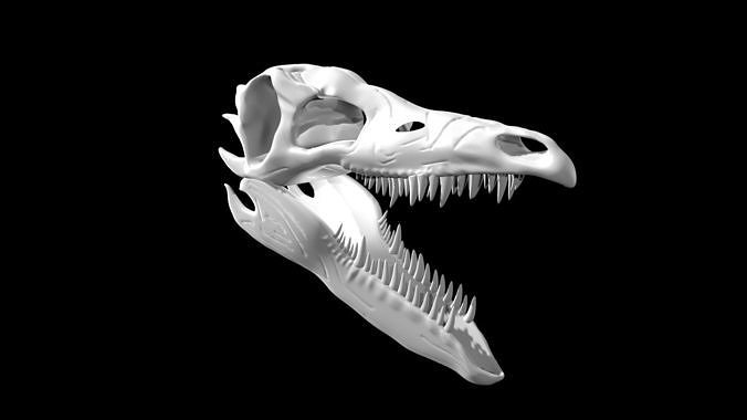 Stegosaurus skull Low-poly 3D model