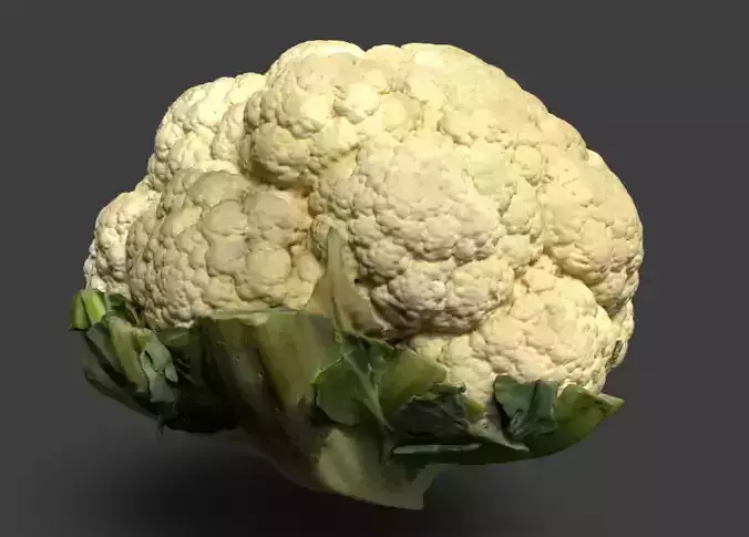 cauliflower head of 3D model