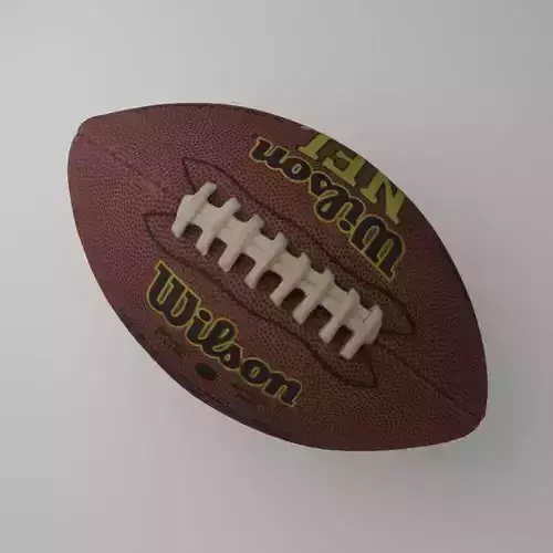 Wilson NFL Football