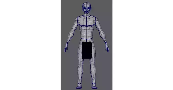 Man Basemesh With Genitalia