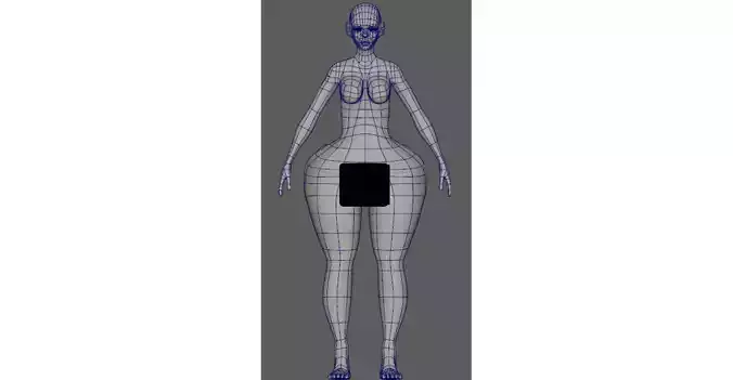Woman Basemesh With Genitalia