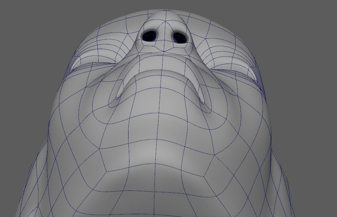 Woman Basemesh With Genitalia 3D model_13