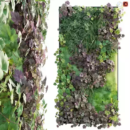 Vertical garden - Green wall - 01
