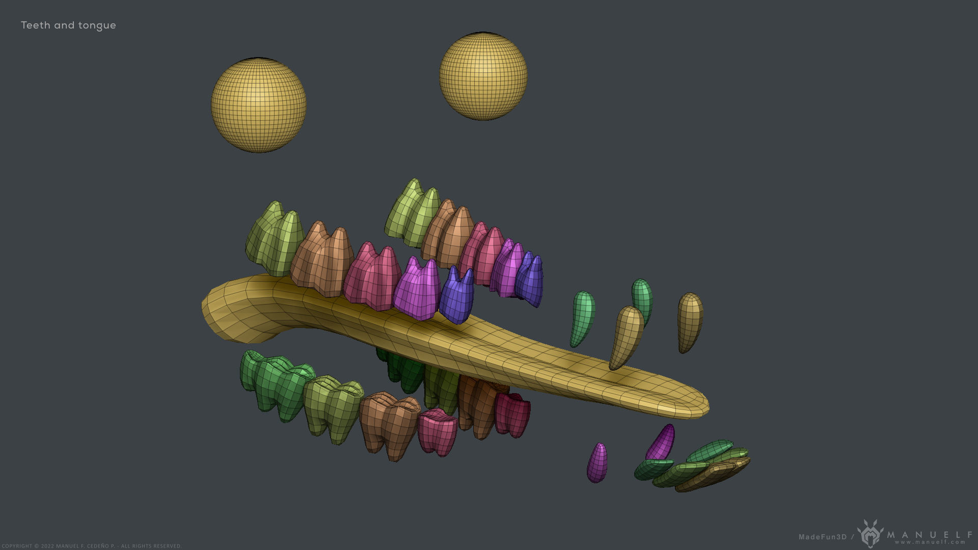 Llama - Highpoly Sculpture 3D model_19