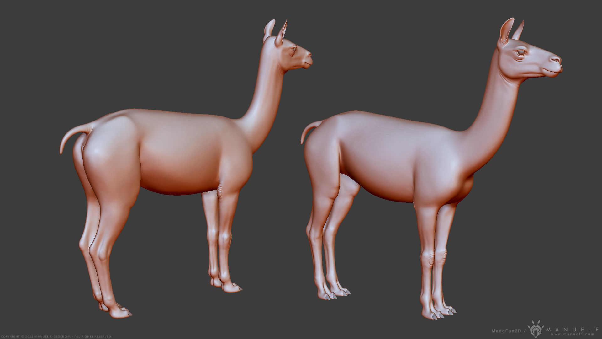 Llama - Highpoly Sculpture 3D model_6
