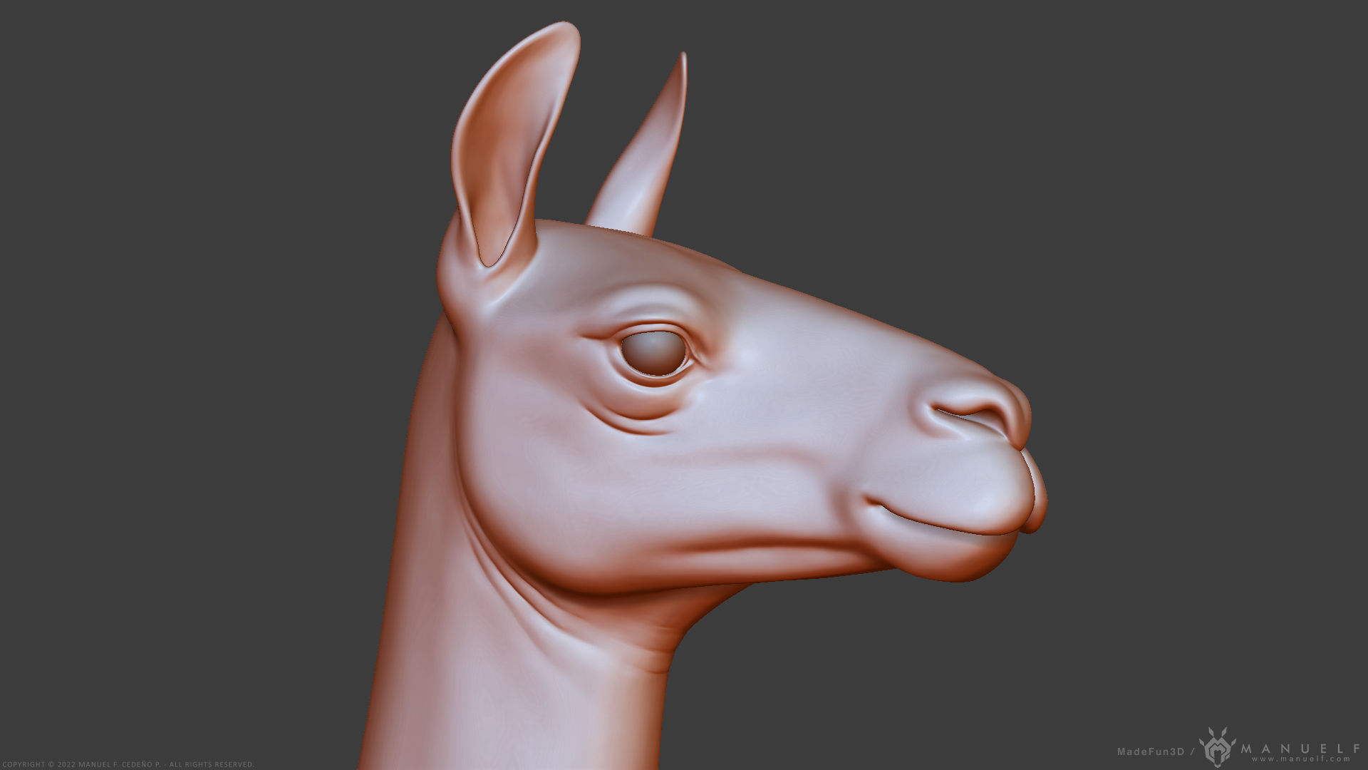 Llama - Highpoly Sculpture 3D model_4
