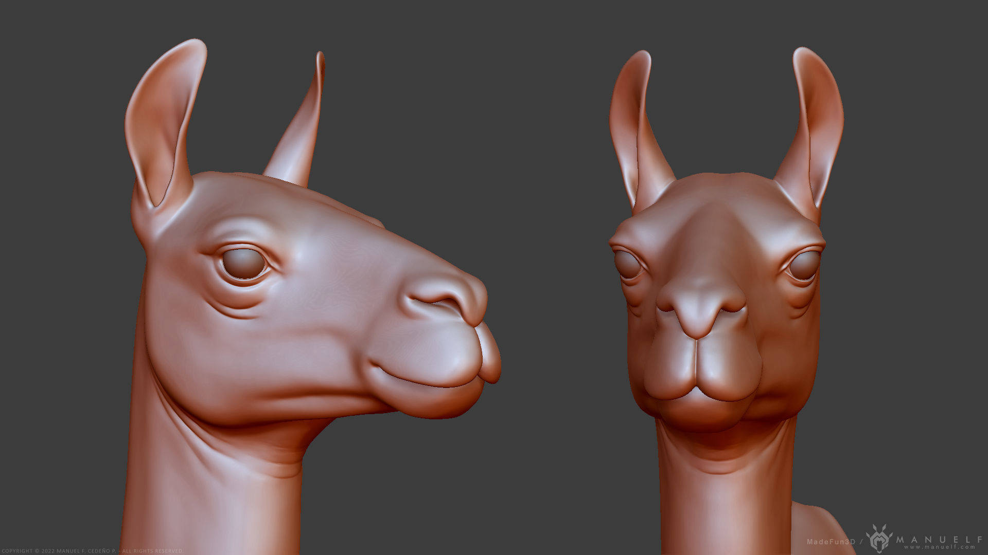 Llama - Highpoly Sculpture 3D model_5