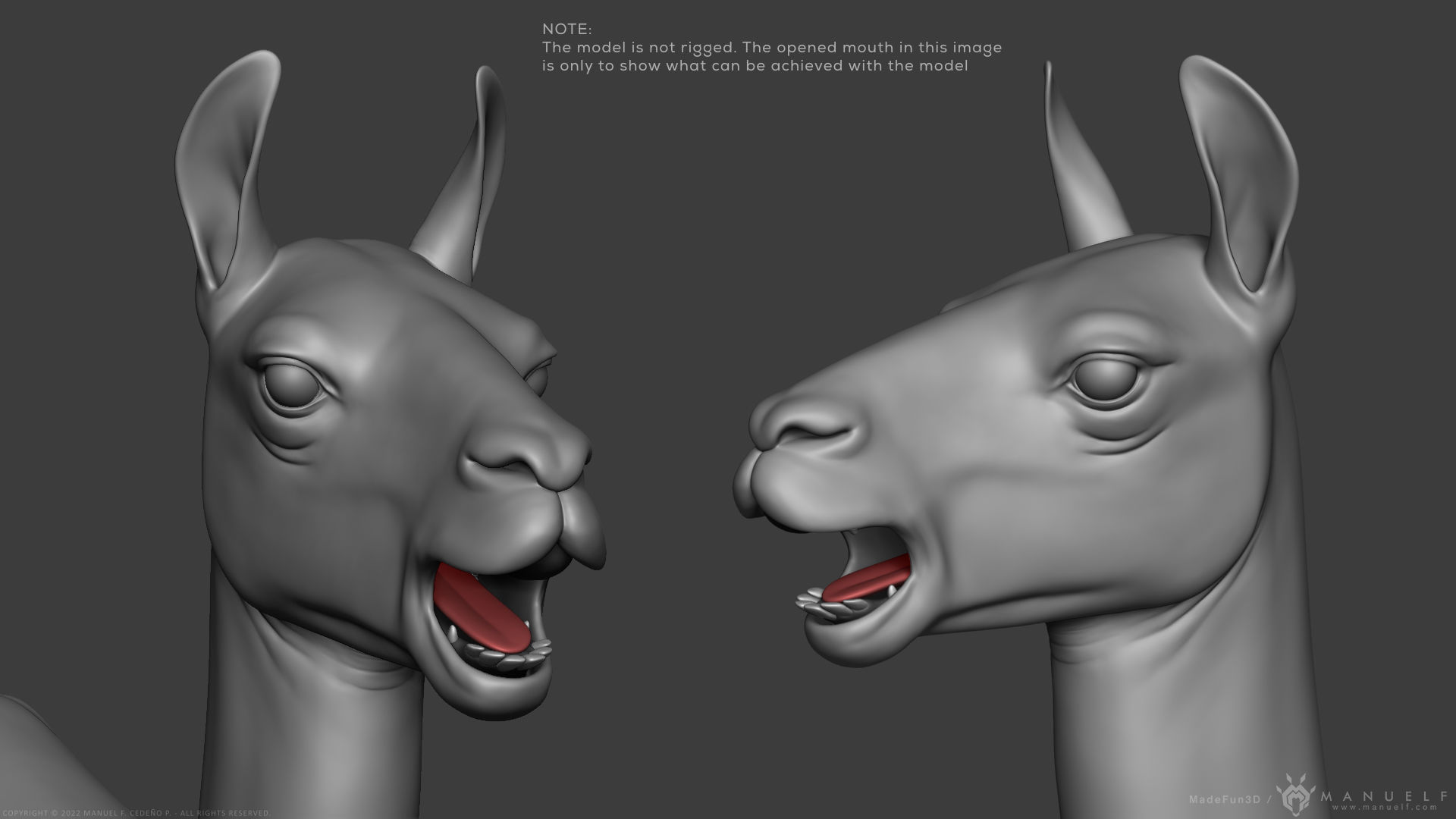 Llama - Highpoly Sculpture 3D model_13