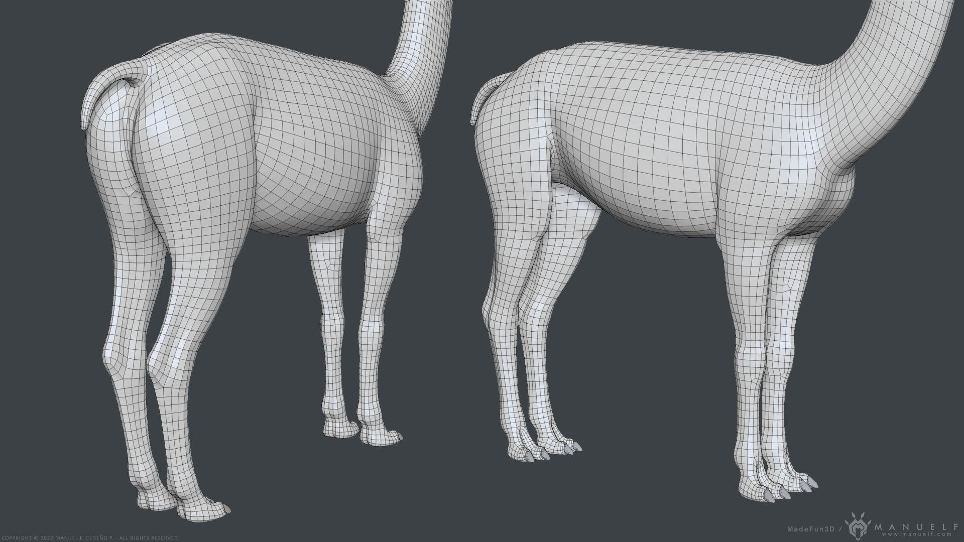 Llama - Highpoly Sculpture 3D model_15