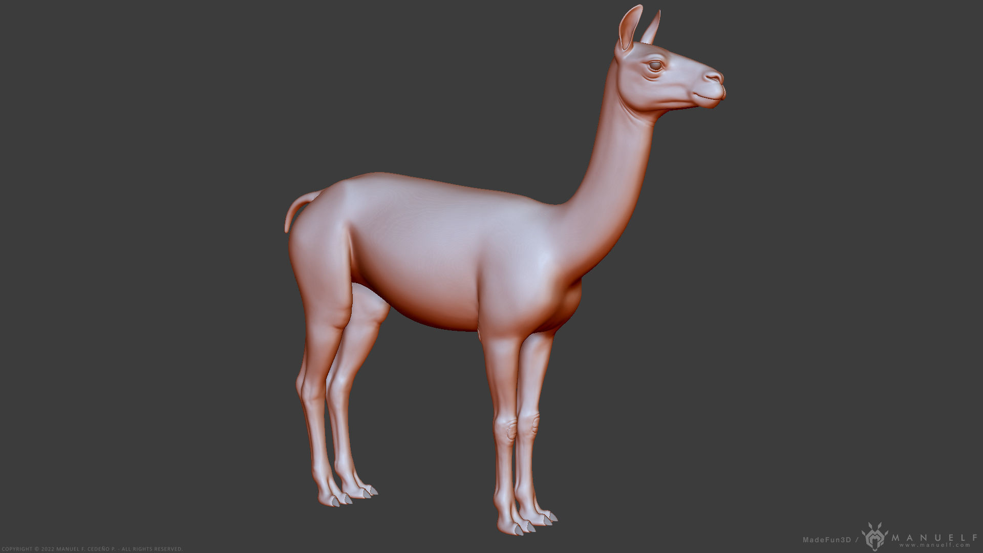 Llama - Highpoly Sculpture 3D model_23