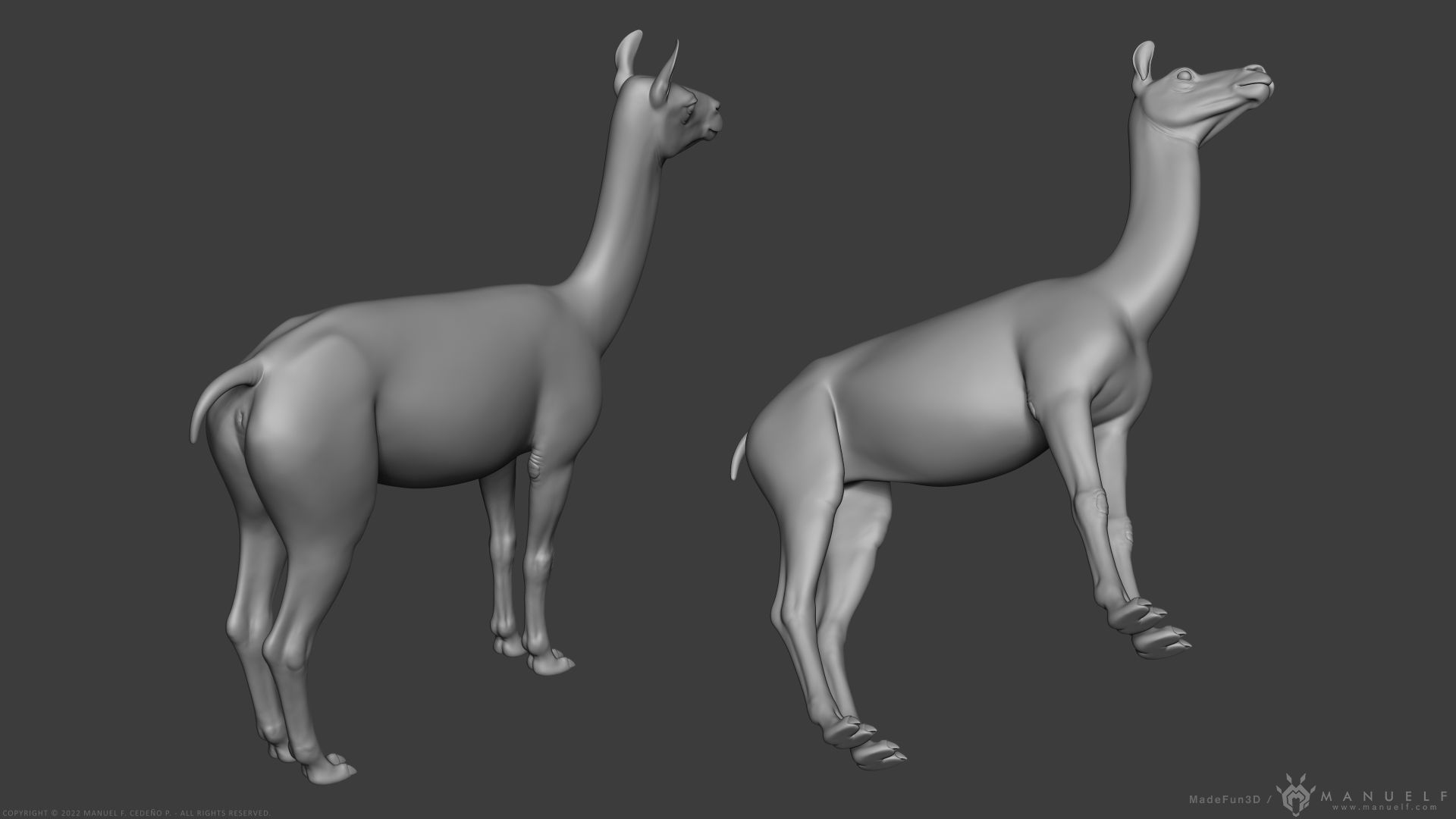 Llama - Highpoly Sculpture 3D model_10