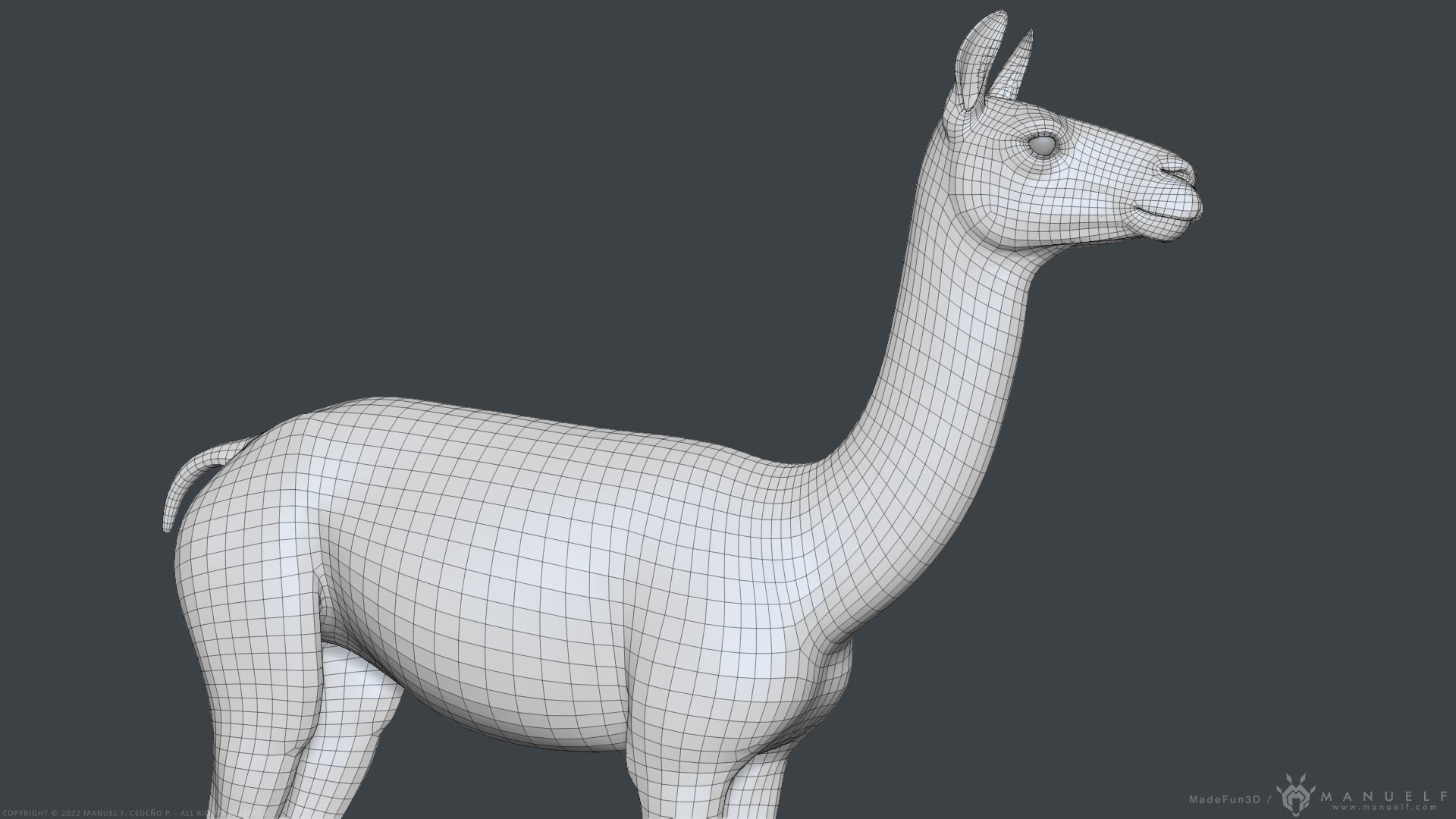 Llama - Highpoly Sculpture 3D model_14