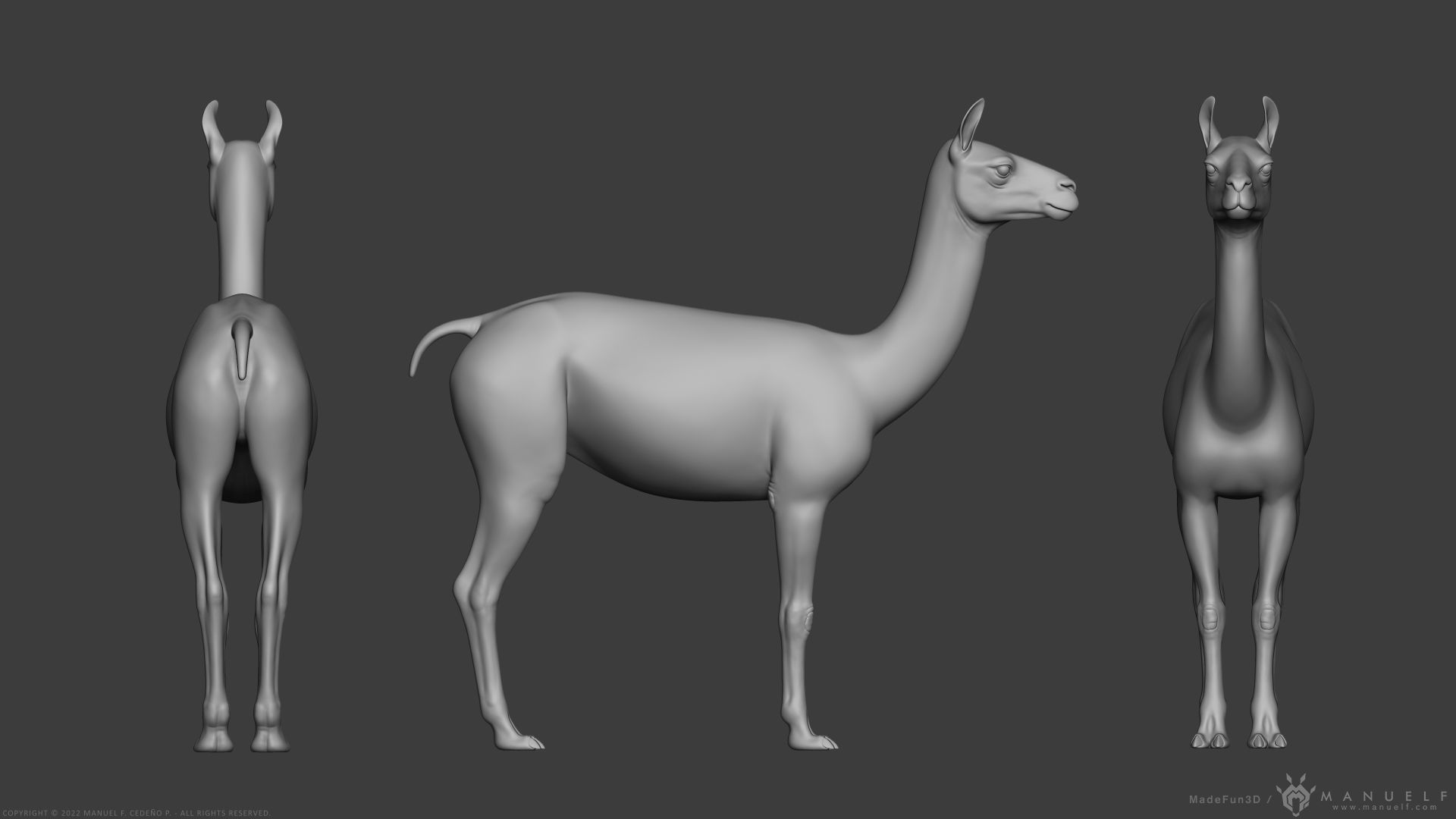 Llama - Highpoly Sculpture 3D model_3