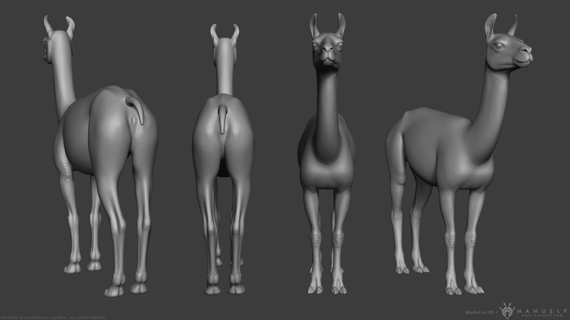 Llama - Highpoly Sculpture 3D model_12