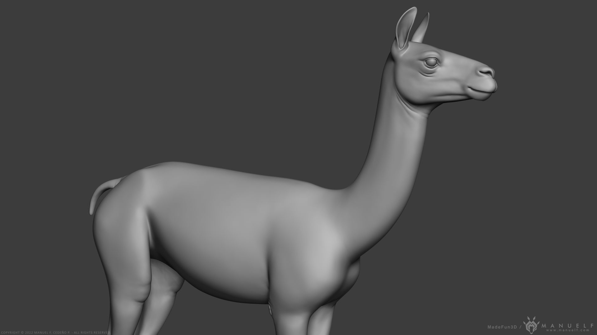 Llama - Highpoly Sculpture 3D model_7
