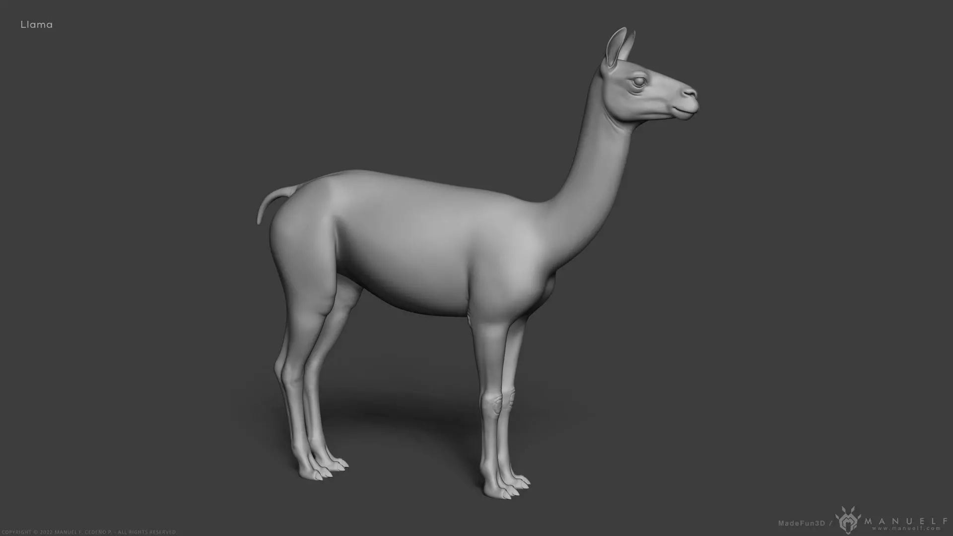 Llama - Highpoly Sculpture 3D model_0