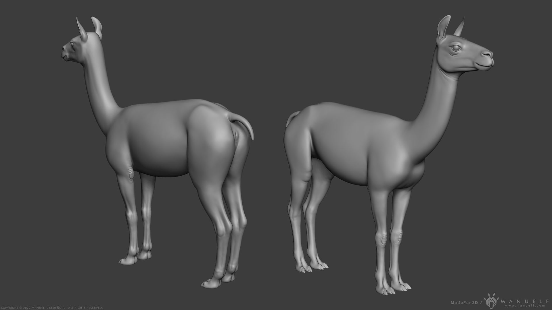 Llama - Highpoly Sculpture 3D model_1