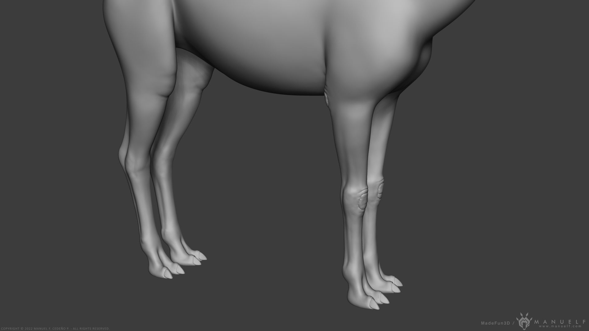 Llama - Highpoly Sculpture 3D model_8