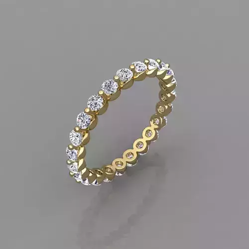 Nice House Eternity Band Ring 3d Model and Render Detail 