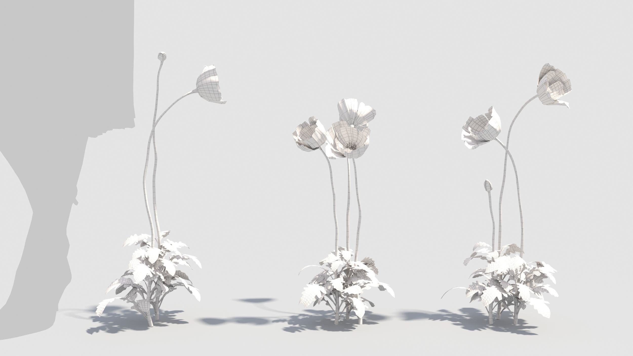 Poppy flower 3D model_9