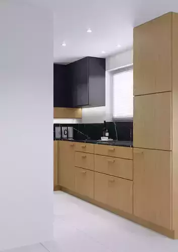 Modern Kitchen Scene 001