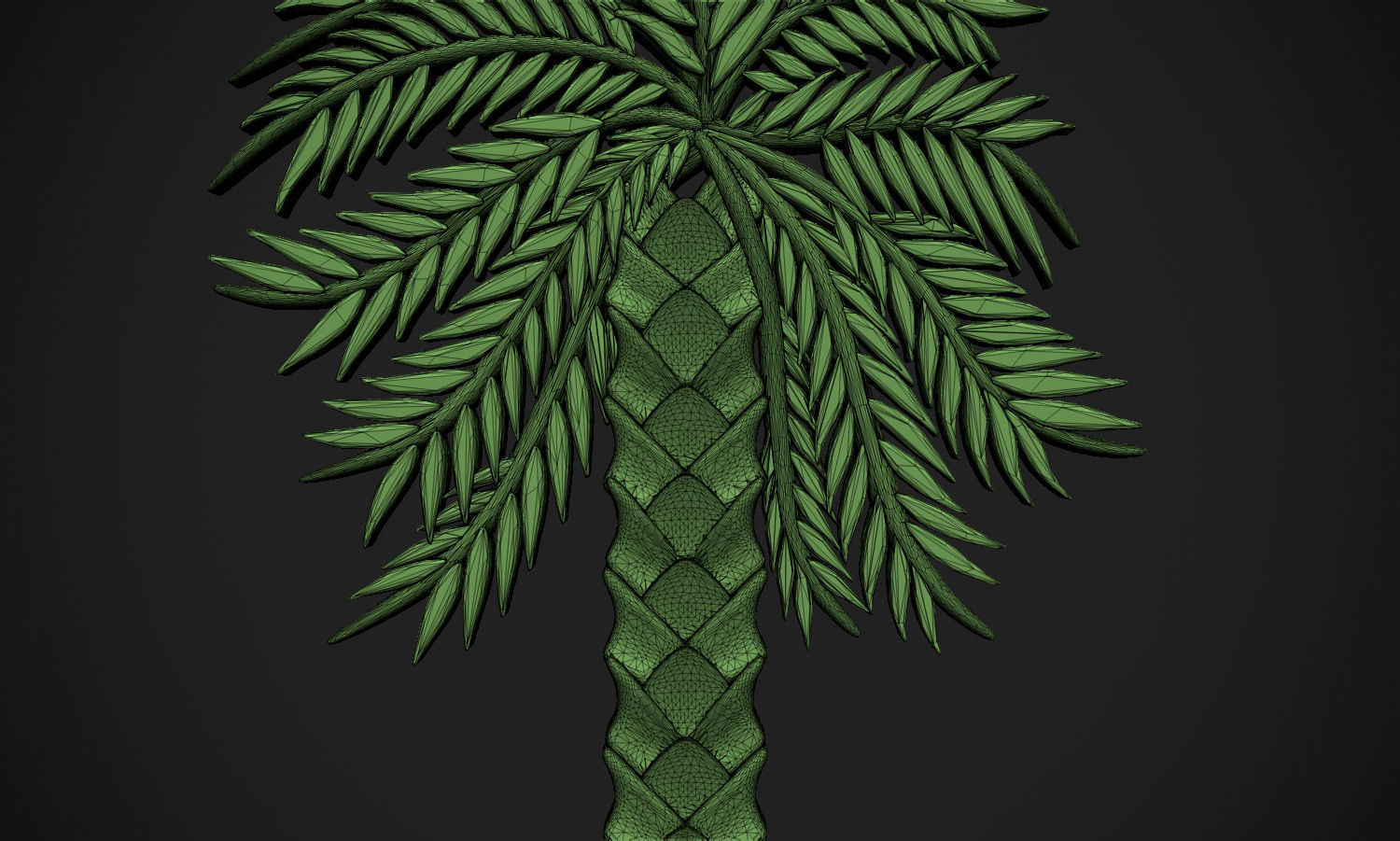 Palm Relief 3D print model_5