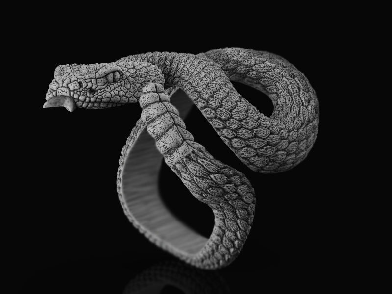 Rattlesnake ring 3d model for 3d printing 3D print model 3D print model_2