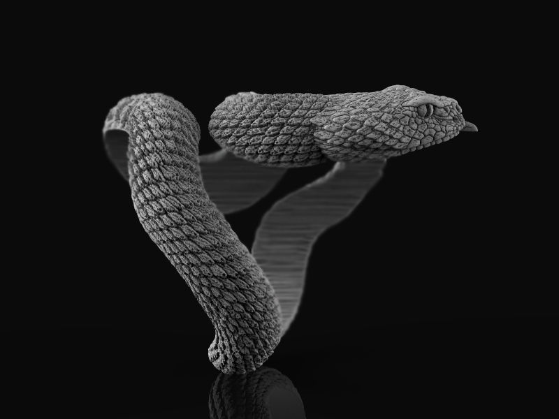 Rattlesnake ring 3d model for 3d printing 3D print model 3D print model_9