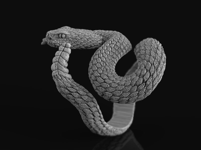 Rattlesnake ring 3d model for 3d printing 3D print model 3D print model_6