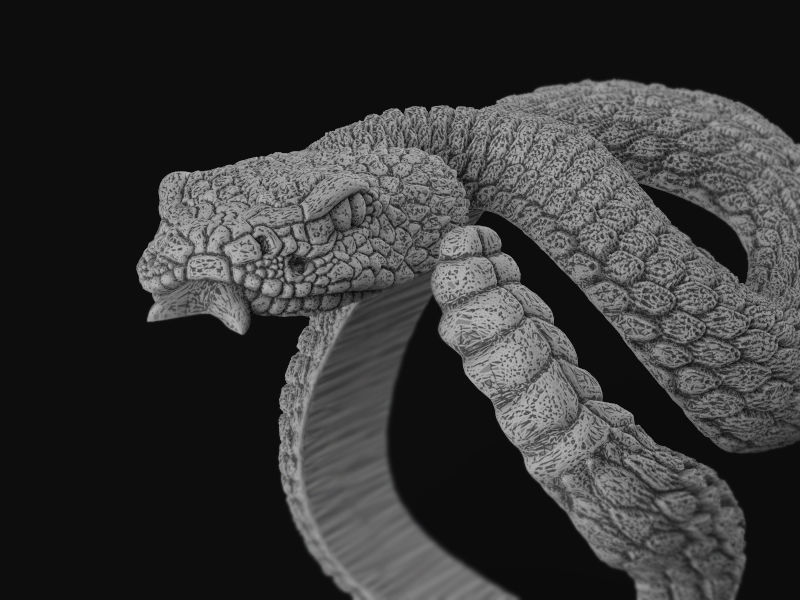 Rattlesnake ring 3d model for 3d printing 3D print model 3D print model_4