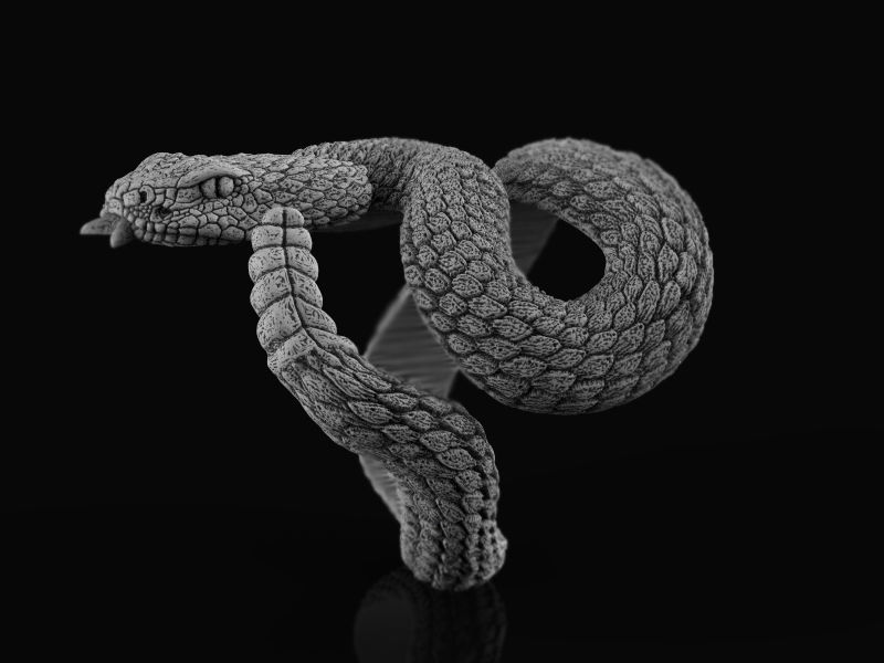 Rattlesnake ring 3d model for 3d printing 3D print model 3D print model_5