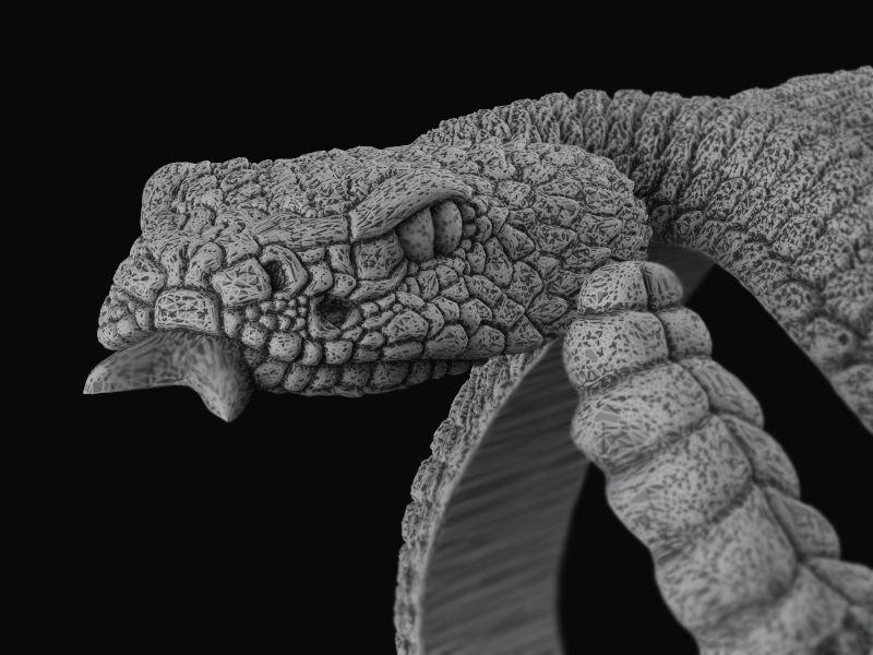Rattlesnake ring 3d model for 3d printing 3D print model 3D print model_10