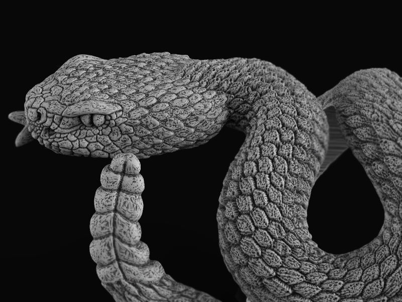 Rattlesnake ring 3d model for 3d printing 3D print model 3D print model_11