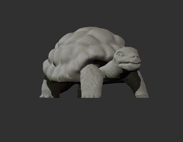 Turtle Model tortoise 3D print model