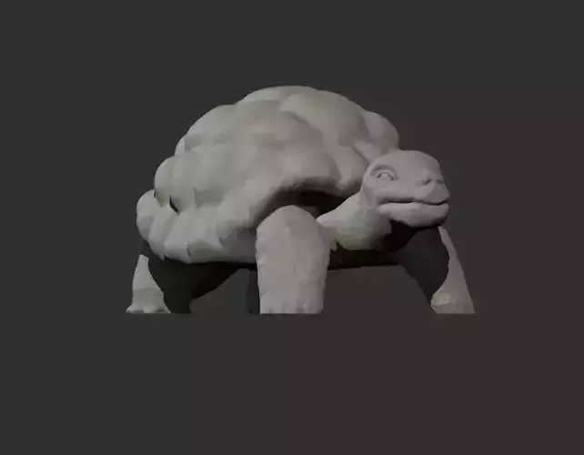 Turtle Model tortoise