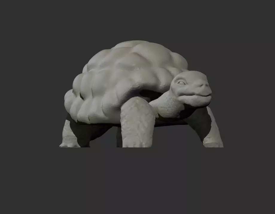 Turtle Model tortoise 3D print model_0