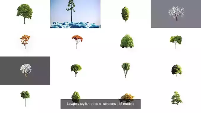 Lowpoly stylish trees all seasons