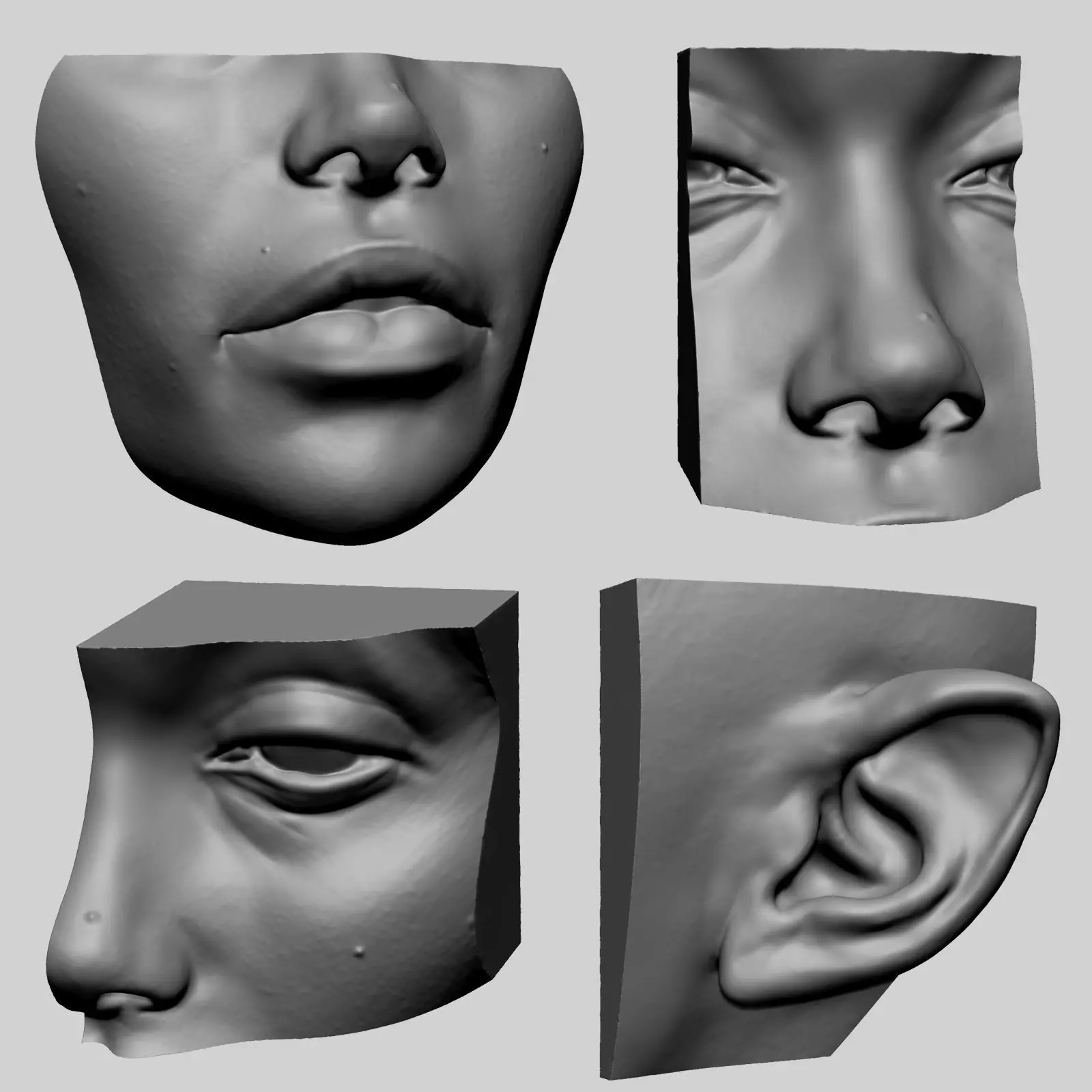 Lip Ear Eye Nose 3D print model_0